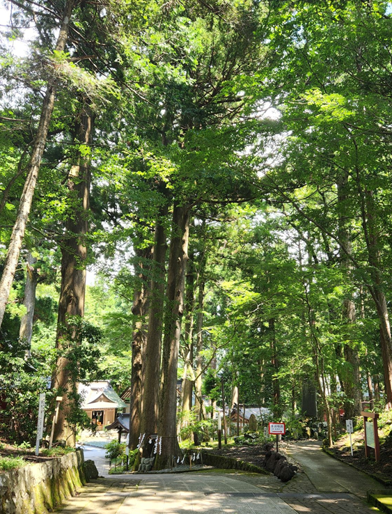 素敵な夏を過ごしたい。の画像