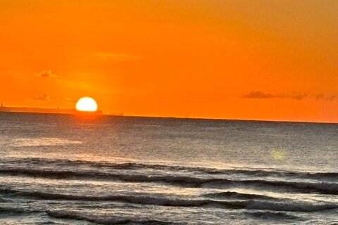 楽しい年明けに！の画像