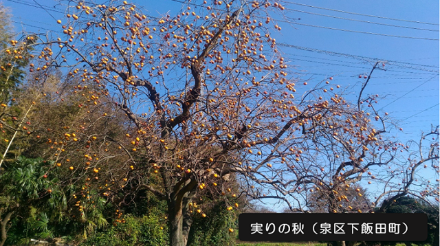 内多勝康さんの挑戦の画像