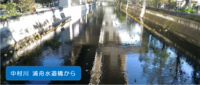 2018年歩きました!の画像