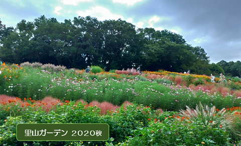 横浜市第４期障害者プラン（素案）示されるの画像