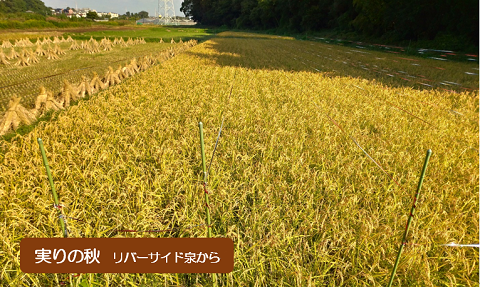 健康で良い仕事をの画像