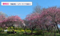 令和2年度を振り返っての画像