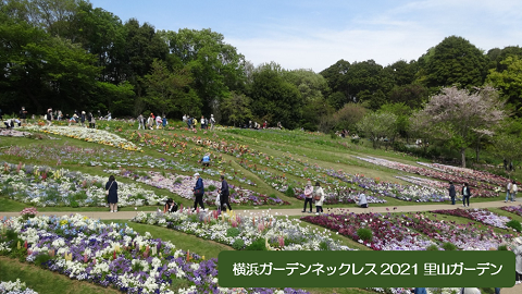 ゴールデンウィークは何しようの画像