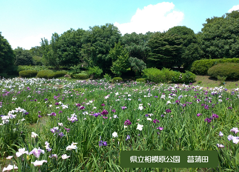 PCR検査とワクチン接種の画像