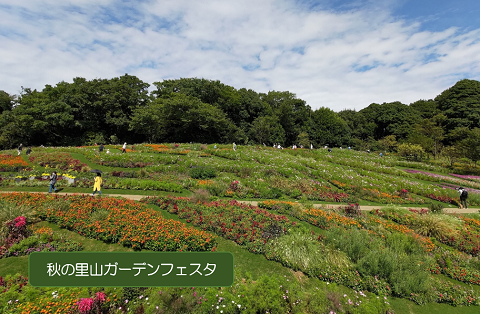 課題は人材の育成・確保の画像