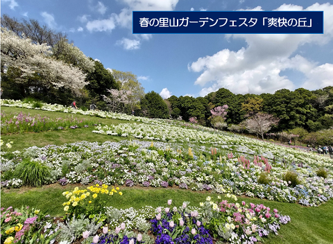 大型連休で一息の画像