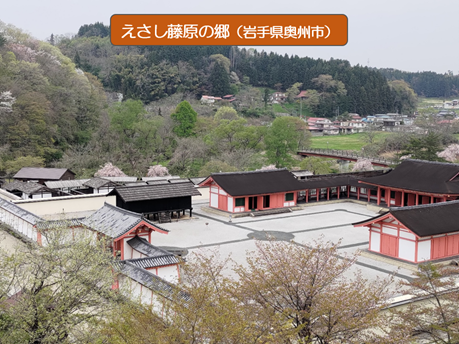 5月12日は看護の日の画像