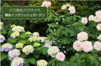 決算理事会を開催しましたの画像