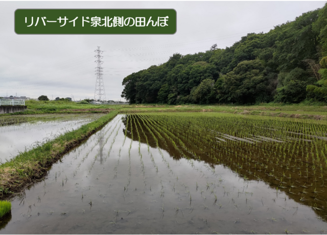 新理事長に西田守希氏の画像