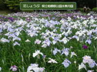 熱中症にご用心の画像