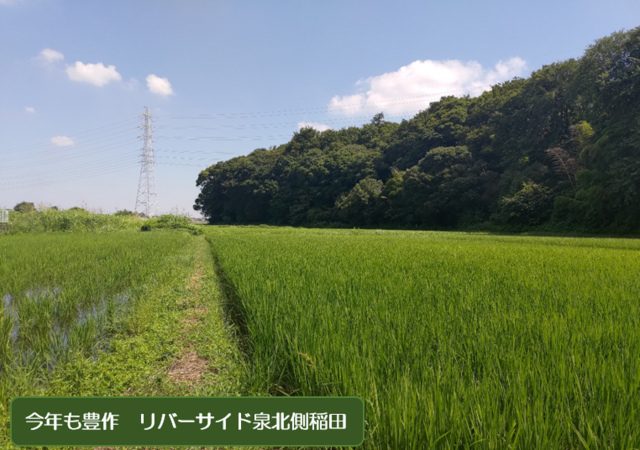 つぶやいて200回の画像