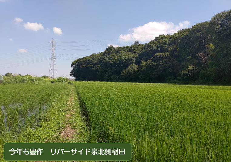 つぶやいて200回の画像