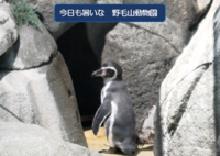 残暑お見舞い申し上げますの画像