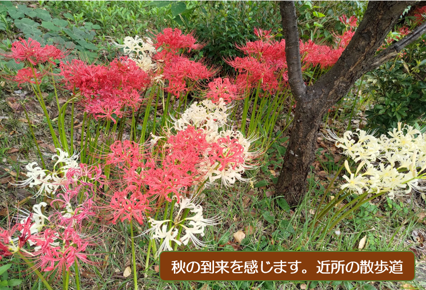 内定式実施しますの画像