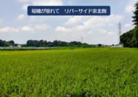 秋の気配もの画像