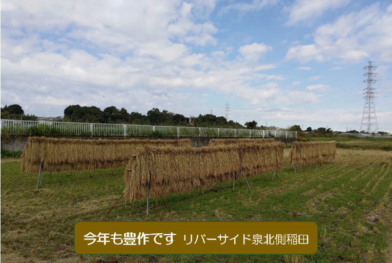 157回理事会開催しましたの画像