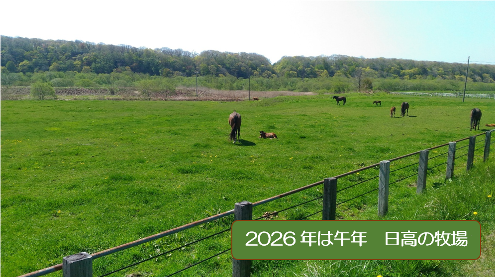 Merry Christmas and a Happy New Year!の画像