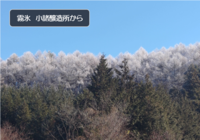 冬本番にの画像