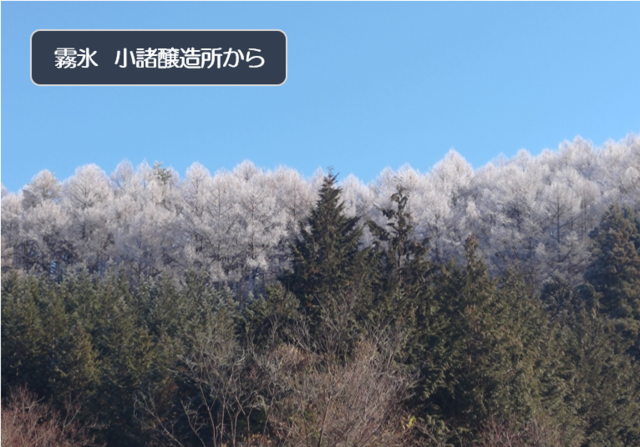 冬本番にの画像