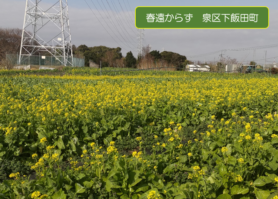 厳寒期にはいりましたの画像