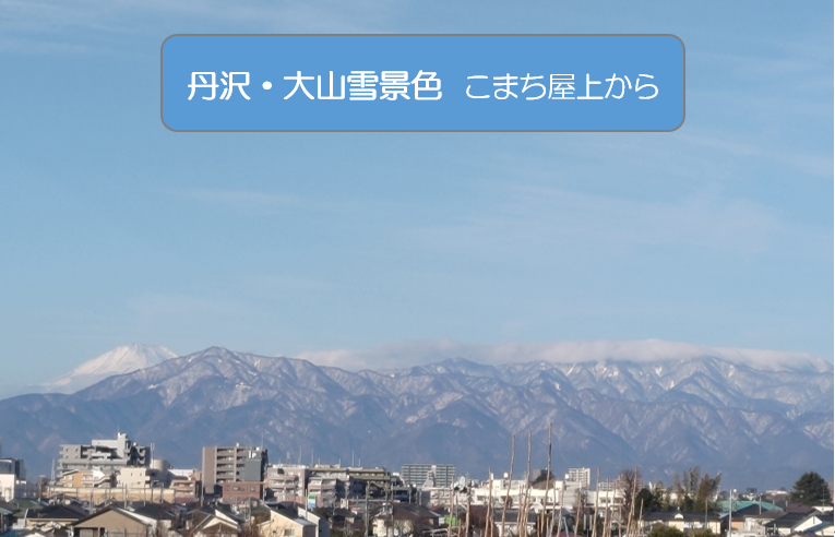 2月逃げるの画像