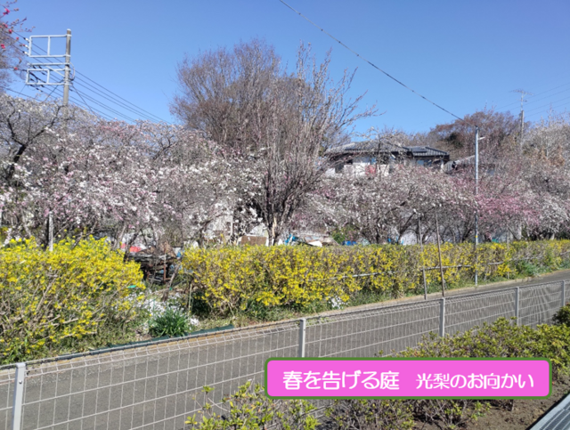 令和8年度予算は30億超の画像