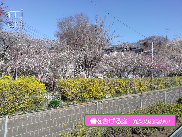 令和8年度予算は30億超の画像