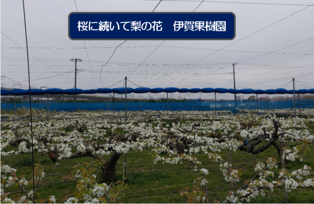 GWで一息の画像