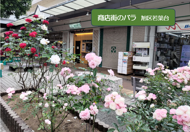 160回理事会を開催の画像