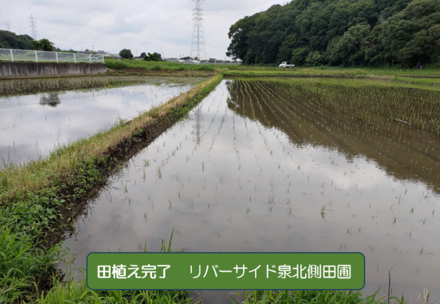 障害福祉の持続可能性の画像