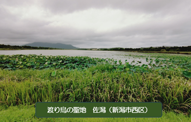 お盆休みに逆走台風の画像