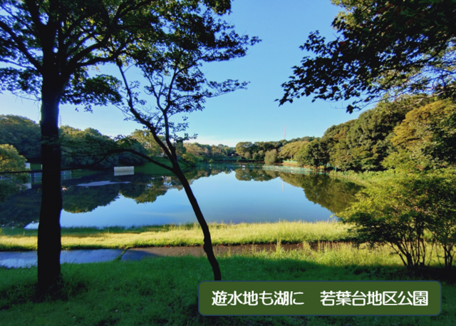 記録的な大雨続くの画像