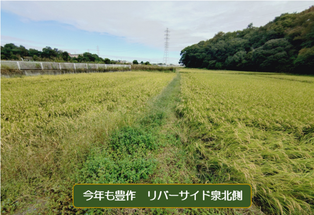 運動していますかの画像