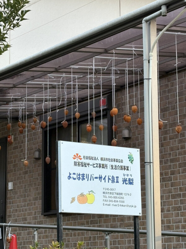 秋の風物詩になるといいな～秋の食レク・光梨干し柿～の画像