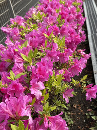 今年も光梨に新しい仲間(職員)が増えました！～新入職・異動職員からのご挨拶～の画像