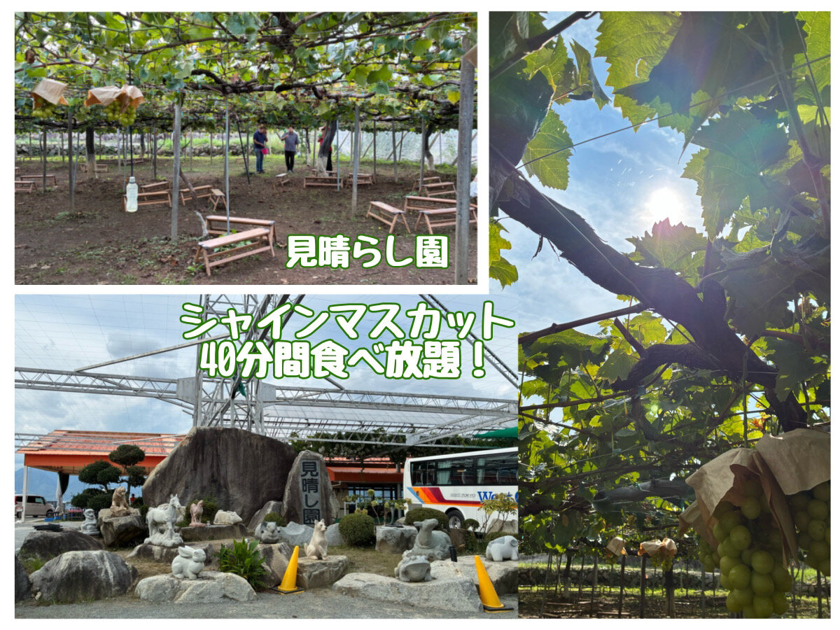 無題379_20261013155448.jpg