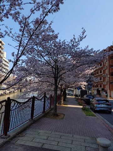 春風とともに　(職員紹介とお知らせ)の画像