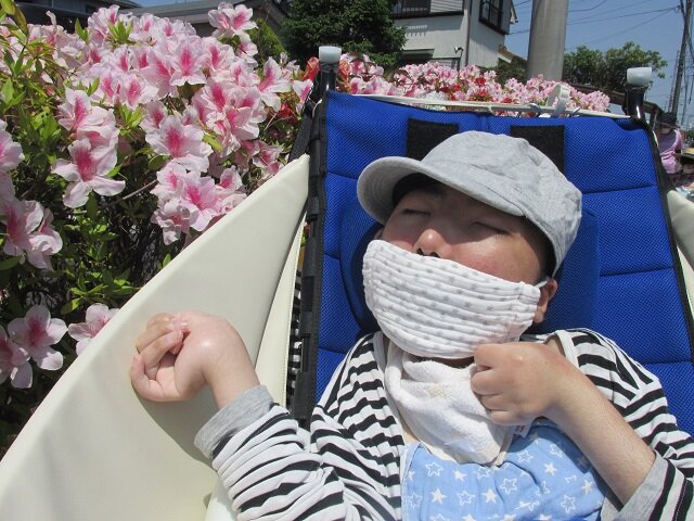 散歩.JPG