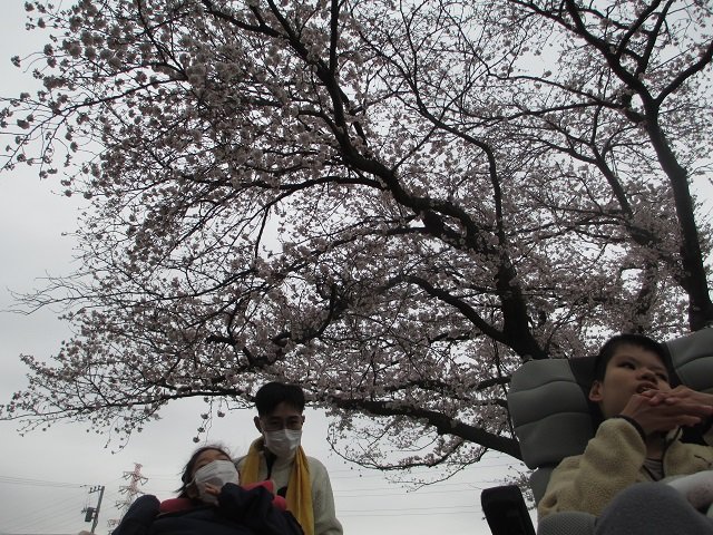 IMG_6591春休み.JPG