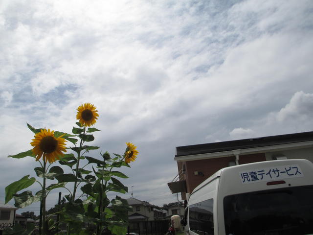IMG_5323.JPG