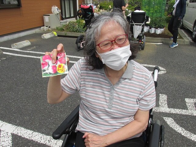 園芸 (3).JPG