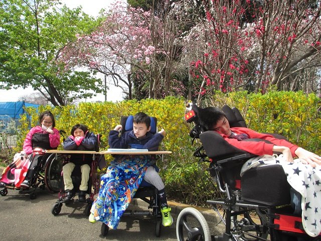 IMG_6584春休み.JPG