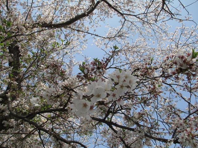 IMG_4248 - 済.JPG