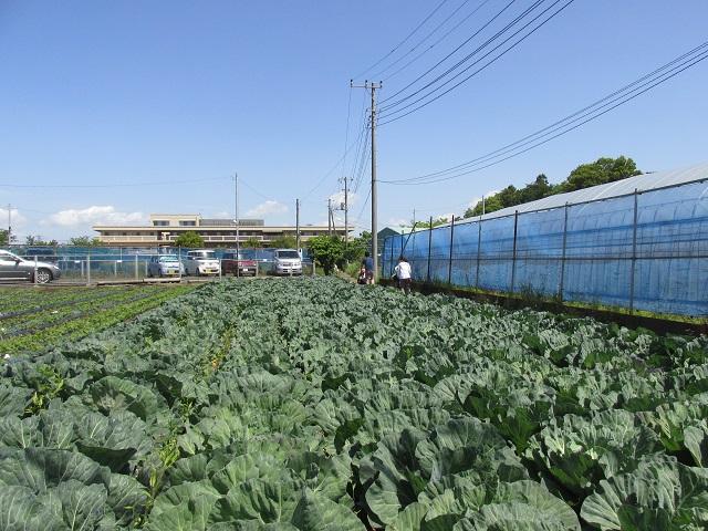 　② - サイズ変更済み.JPG