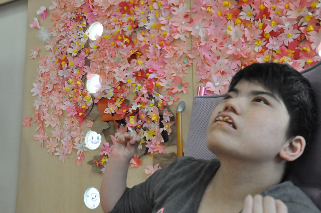 桜3.png