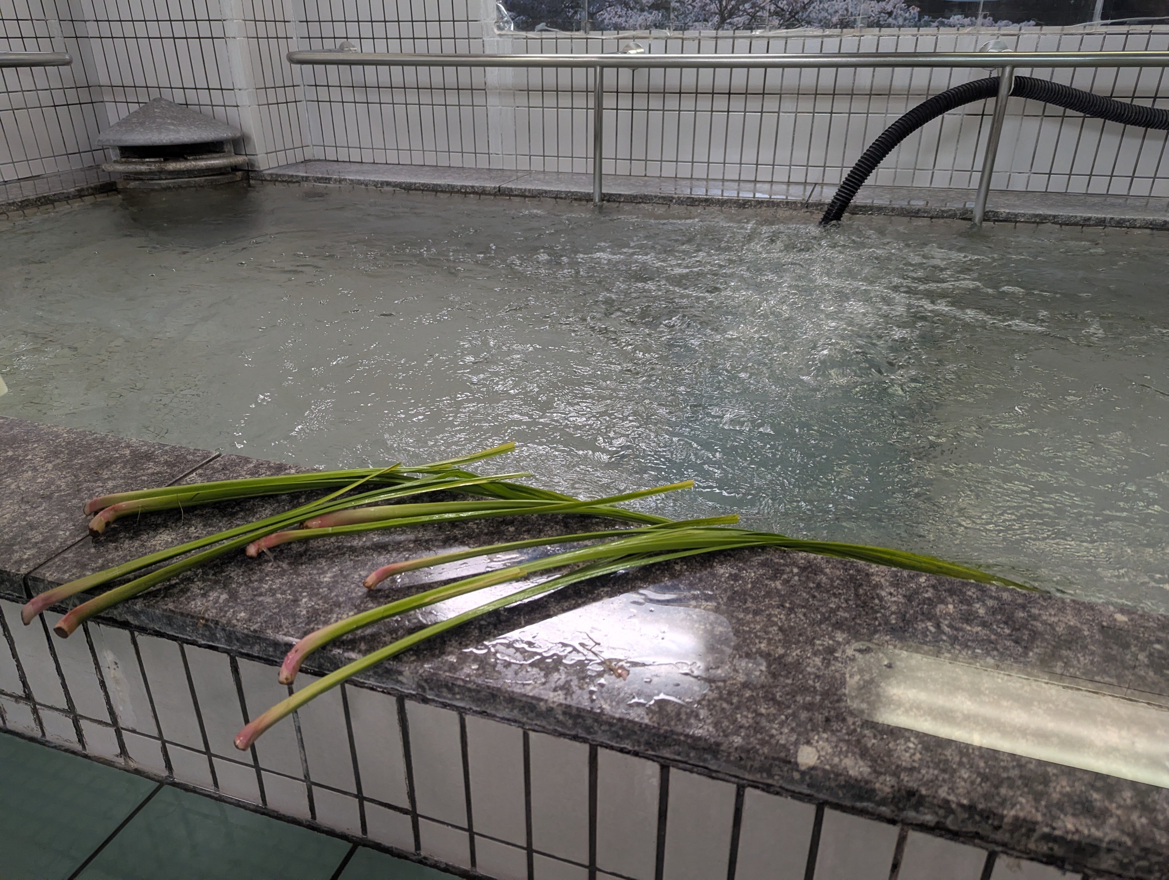 菖蒲湯を楽しんで頂きました。の画像