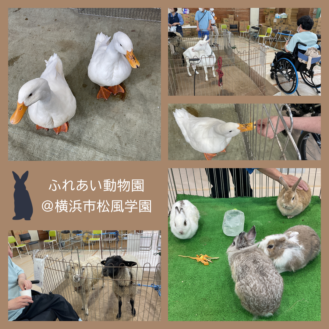 ふれあい動物園 ＠横浜松風学園.png