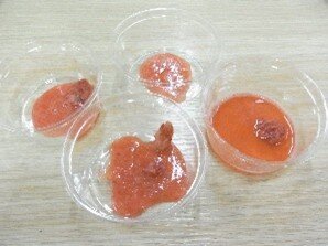 画像11.jpg