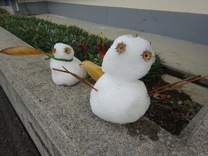 https://www.ysjk.jp/tanpopo/blog/b6972cb79bbeed25ca69b2ca2fafdc3e18bf2f33.jpg